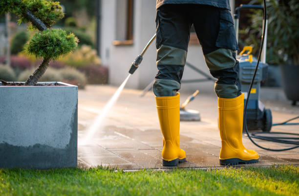 Best Pressure Washing Driveway  in Winlock, WA